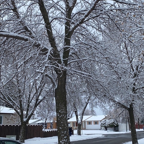 Meet your Posher, Emz - Picture 1 of 1